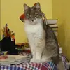 Отзыв от Варвара Касаткина
